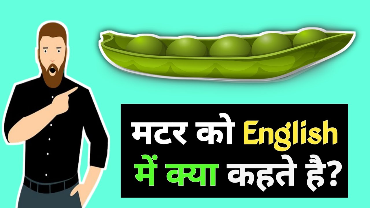 Matar Ko English Mein Kya Kahate Hain matar Ko English Mein Kya Bolte matar-ko-english-mein-kya-kahate-hain-matar-ko-english-mein-kya-bolte