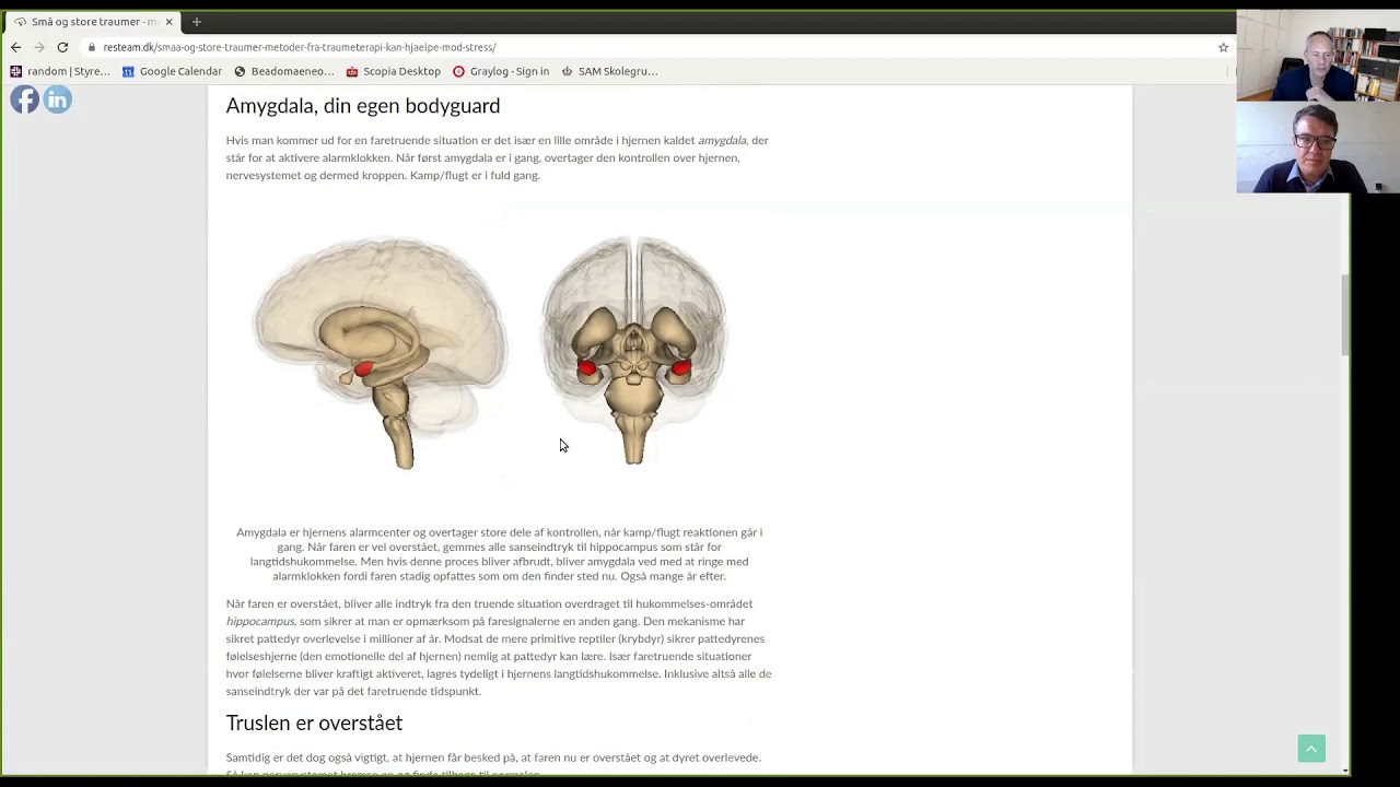 Fjern stress og angst med metoder fra traumebehandling
