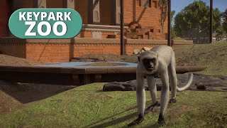 Making a habitat for Hanuman Langur! | Keypark Zoo Live
