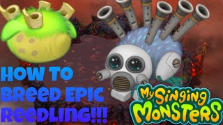 How To Breed Epic Reedling On Earth Island!!! | My Singing Monsters!!!