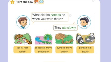Tiếng Anh 5 Unit 9 Lesson 2 What did you see at the zoo?