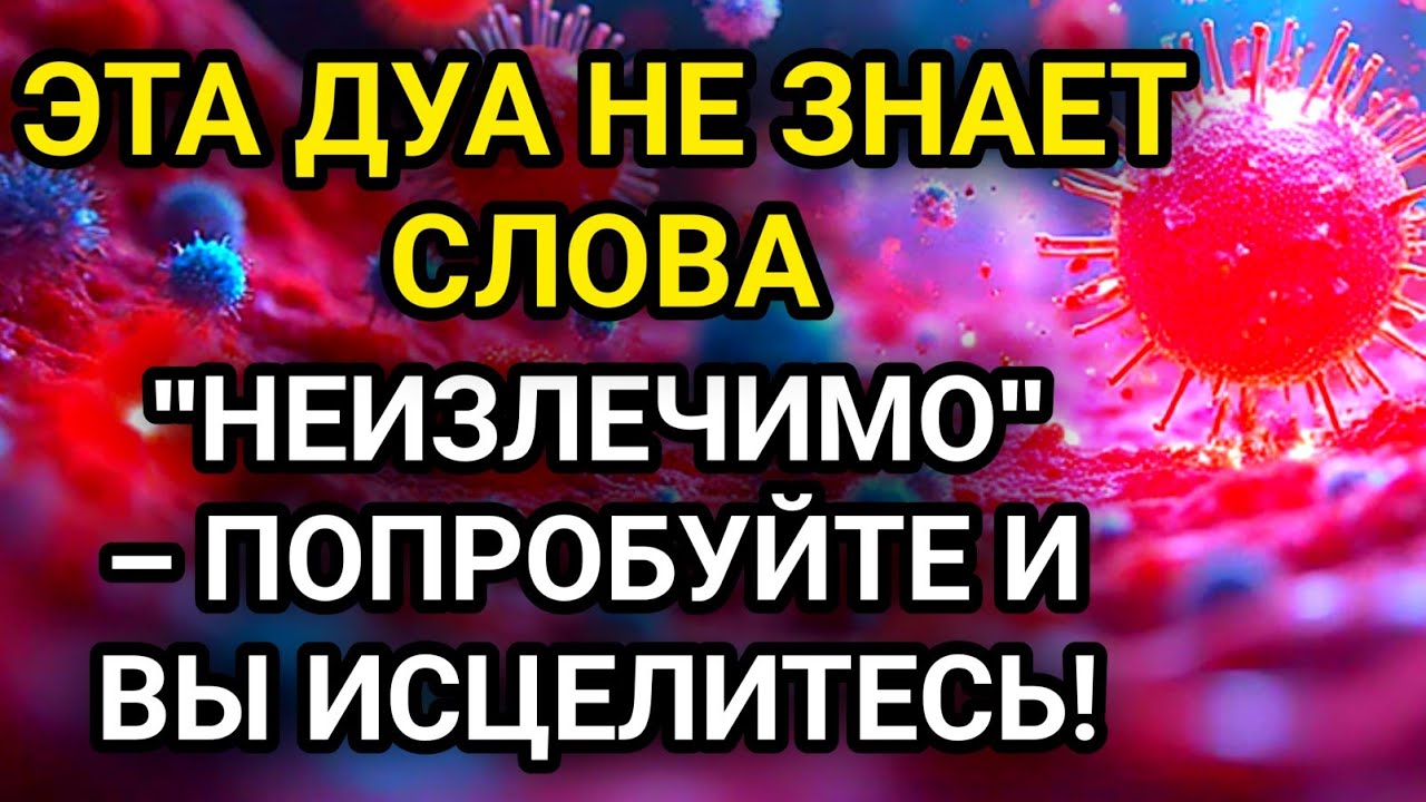 ЭТА ДУА НЕ ЗНАЕТ СЛОВА 