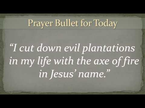 Video Bullet #72