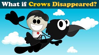 What If Crows Disappeared? More Videos
