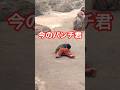 【たった今】2026年3月18日パンチ君お休み中💤🙈