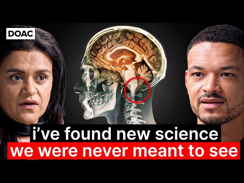 Neuroscience Expert (Dr