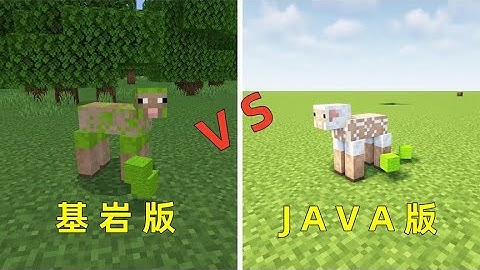 我的世界：版本差異對比，基岩版的細節究竟可以做得多麼好？