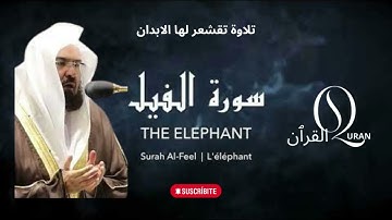 105  Sourate Al Fil سورة الفيل