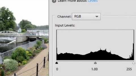 Adobe Elements 11 adjusting images