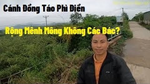 Cánh Đồng Táo Xuân- Táo Đài Loan Siêu To Tại Làng Chay - Phì Điền I Nui doi Luc Ngan 98