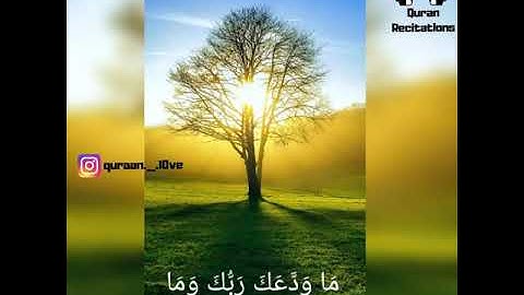 سورة الضحي🌹 بصوت ملائكي يمس القلوب 🌍💙  للقارئ كورتش