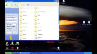 how to get Wii flash player 10