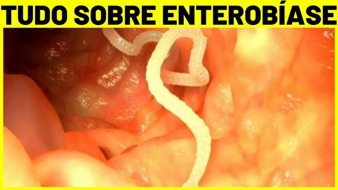 Qin va anus ortasida bolak bor