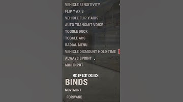 Save Your Pinky, Turn on Always Sprint in Rust! #rust #rustshorts