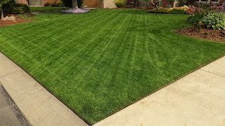 Overseeding My Cool Season Lawn In Spring With Turf Type Tall Fescue