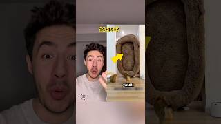 Yavru Kedinin Ultra Lüks Yeni Yatağı Crcankusdur