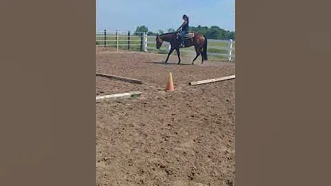 Kellie riding Bruno