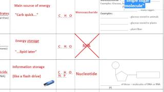 Target A2.2: Macromolecules Table