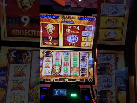 Buffalo Kasino: Pelata Suosittu Buffalo-Pelit Kasinolla Verkossa Suomen Pelaajien Varailla