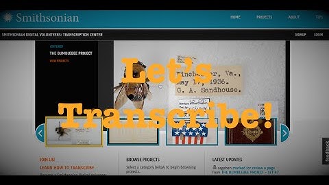 The Buzz on Bees: How to Transcribe the Bumblebee Project