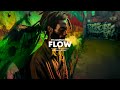 FLOW | Reggae Rap / Hip Hop Boom Bap Beat Instrumental | Reggae Riddim Instrumental 2024