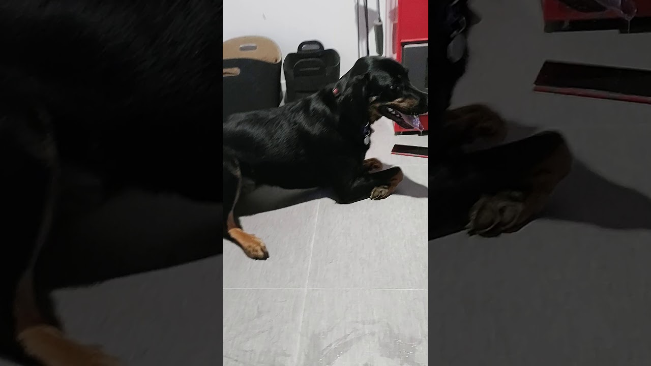 Ben Seizure 2 YouTube