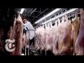 Chasing Outbreaks: How Safe Is Our Food? | Retro Report | The New York Times