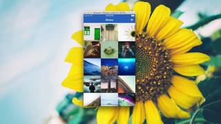 74 Custom Collection View   Demo