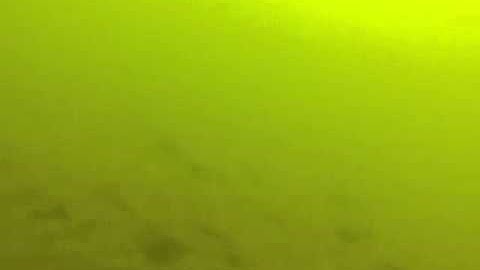 Coreyon Reef site inspection 9/4/2014