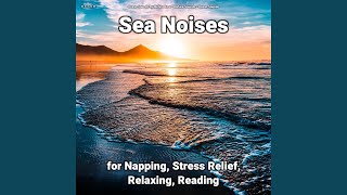 Caressing Ocean Waves Sounds