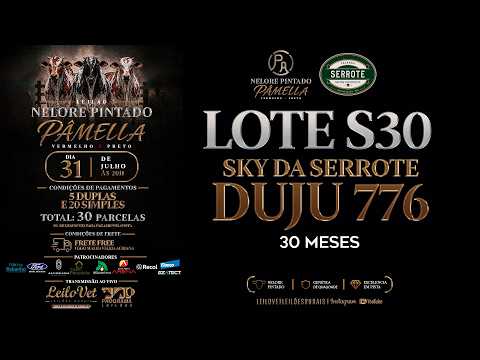 LOTE S30 DUJU 776
