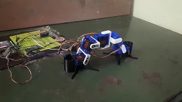 Inchworm Robot Test