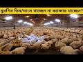 আপনি যে ডিম ও মাংস খাচ্ছেন সেটা সত্যিই কি নিরাপদ ?