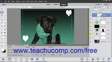 Photoshop Elements 2019 Tutorial Moving Layer Content with the Move Tool Adobe Training