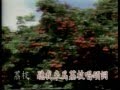 粵語MTV 荔枝頌 紅線女 粵語MTV 荔枝頌 紅線女