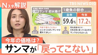 秋の味覚「サンマ」に異変？　不漁に“小型化”も…価格は去年の約2倍に【Nスタ解説】｜TBS NEWS DIG