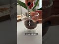 ダイエット中に辛かった暴食を止めてくれたココアの作り方　#shorts