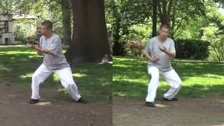 Chen Style Taijiquan (Tai Chi) 2 camera practice