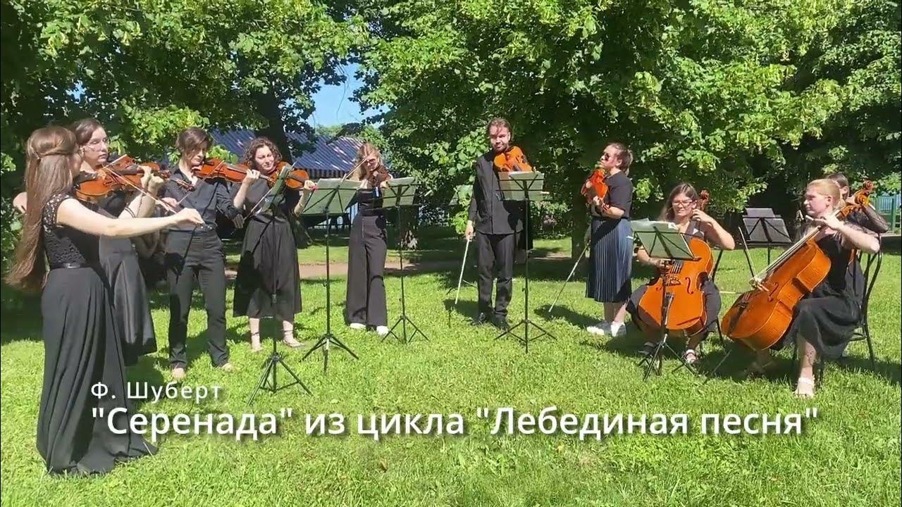 Лебединая песня шуберт. Концерт классической музыки. Serenada СПБ. Лебедин мой, Лебедин Жанр народной песни.