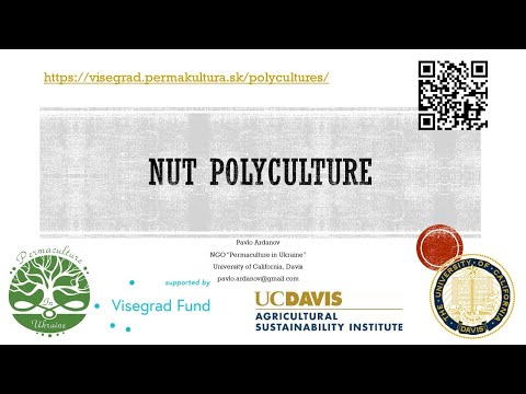 Polyculture systems with nut tree crops