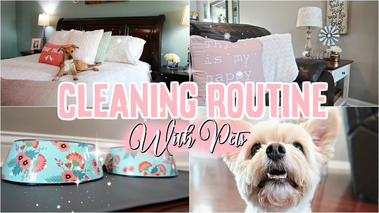 CLEANING MOTIVATION//CLEANING ROUTINE WITH PETS//Cleaning MOTIVATION