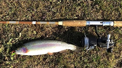 Fishing with Grandpa