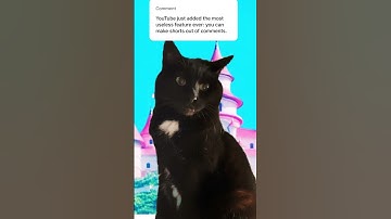 YouTube just added the most useless feature ever #shorts #useless