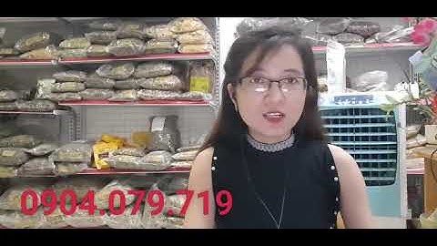 Cà gai leo ngâm rượu có đc ko?