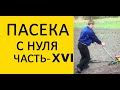 Пасека с нуля 16. Сеем Фацелию. Садим павловнию. Топливо для пасечного Дымаря / www.uley.in