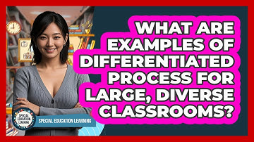 What Are Examples Of Differentiated Process For Large, Diverse Classrooms?