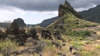 5 Best Hikes in Tenerife