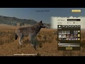 WolfQuest 3: Anniversary Edition - All Fur Colors