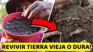 Abono GRATIS Para PLANTAS! Revive Tu TIERRA Dura O Vieja Como NUEVA!