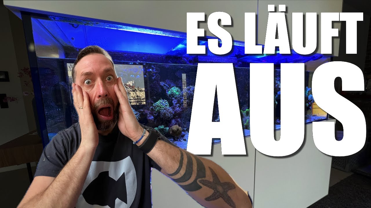 700 Liter Meerwasseraquarium LÄUFT AUS!
